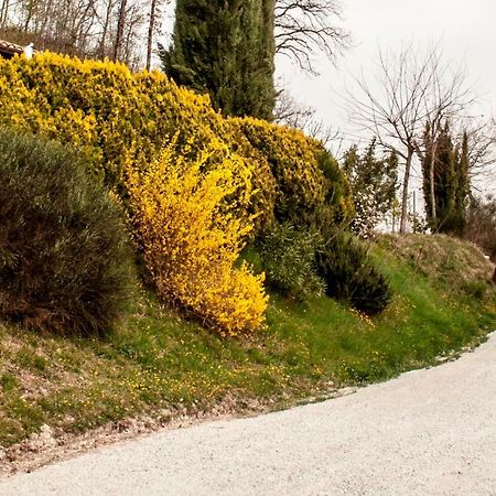 Calmancino Delle Selve Bed & Breakfast Urbino Exterior photo