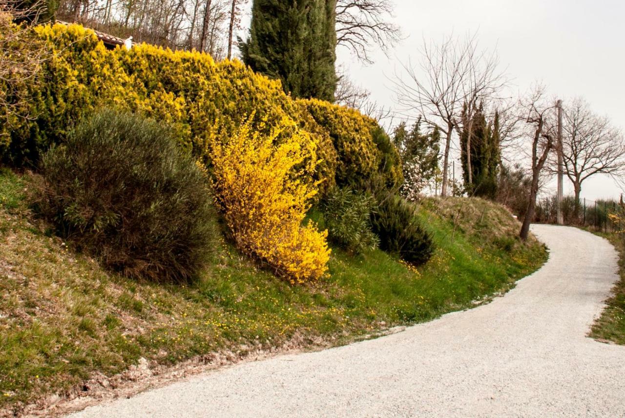 Calmancino Delle Selve Bed & Breakfast Urbino Exterior photo