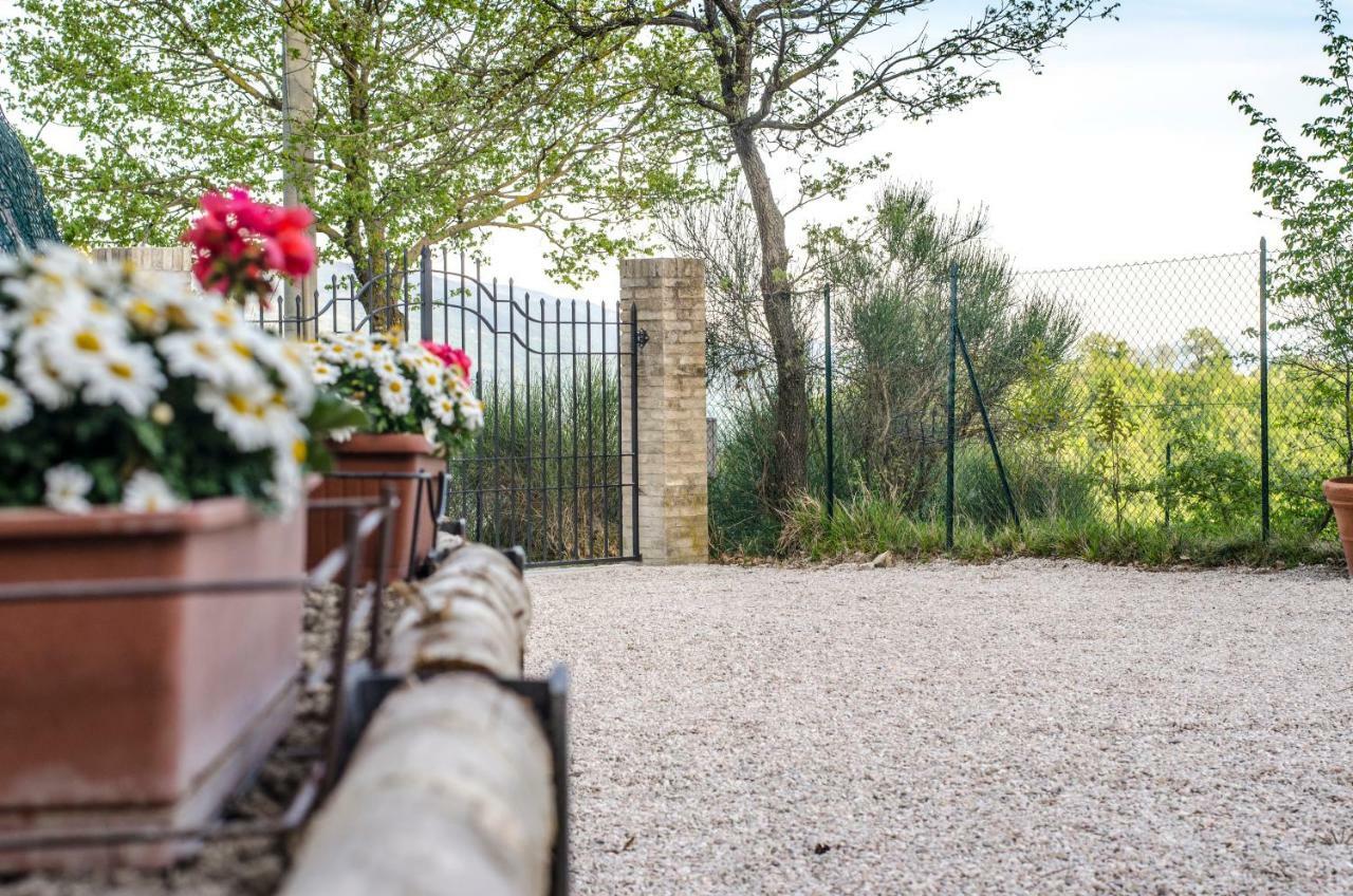 Calmancino Delle Selve Bed & Breakfast Urbino Exterior photo