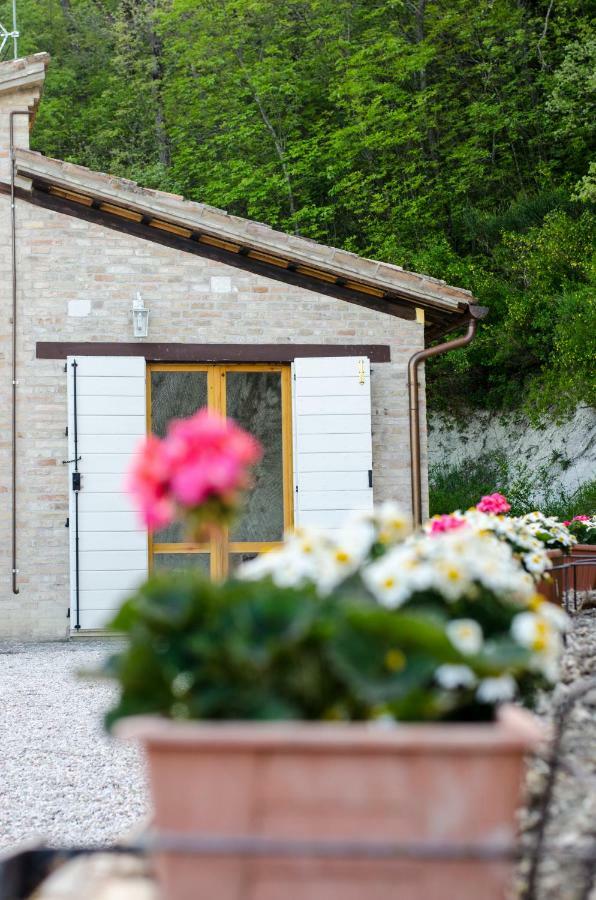Calmancino Delle Selve Bed & Breakfast Urbino Exterior photo