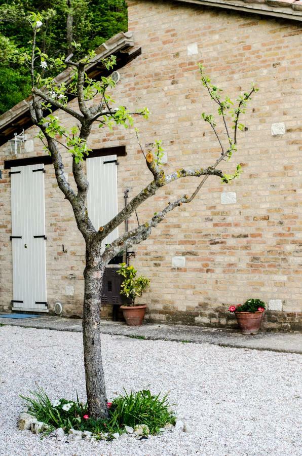 Calmancino Delle Selve Bed & Breakfast Urbino Exterior photo
