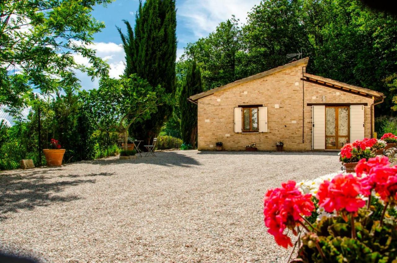 Calmancino Delle Selve Bed & Breakfast Urbino Exterior photo