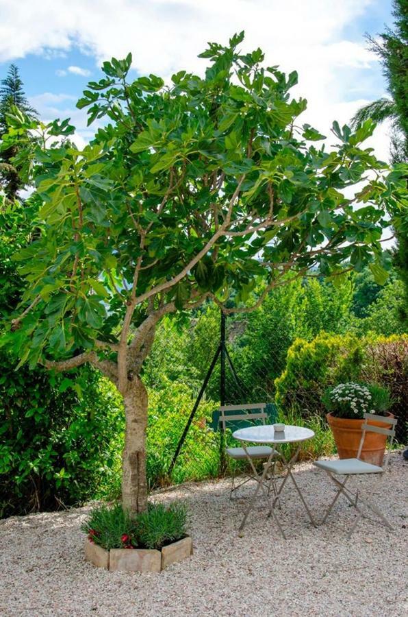 Calmancino Delle Selve Bed & Breakfast Urbino Exterior photo