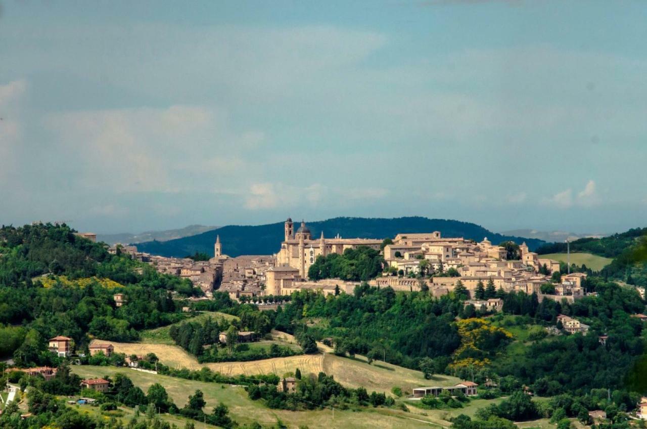 Calmancino Delle Selve Bed & Breakfast Urbino Exterior photo