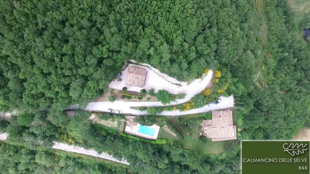 Calmancino Delle Selve Bed & Breakfast Urbino Exterior photo