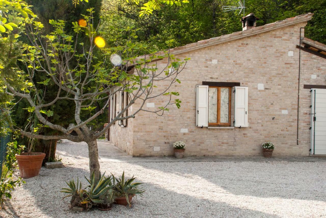 Calmancino Delle Selve Bed & Breakfast Urbino Exterior photo