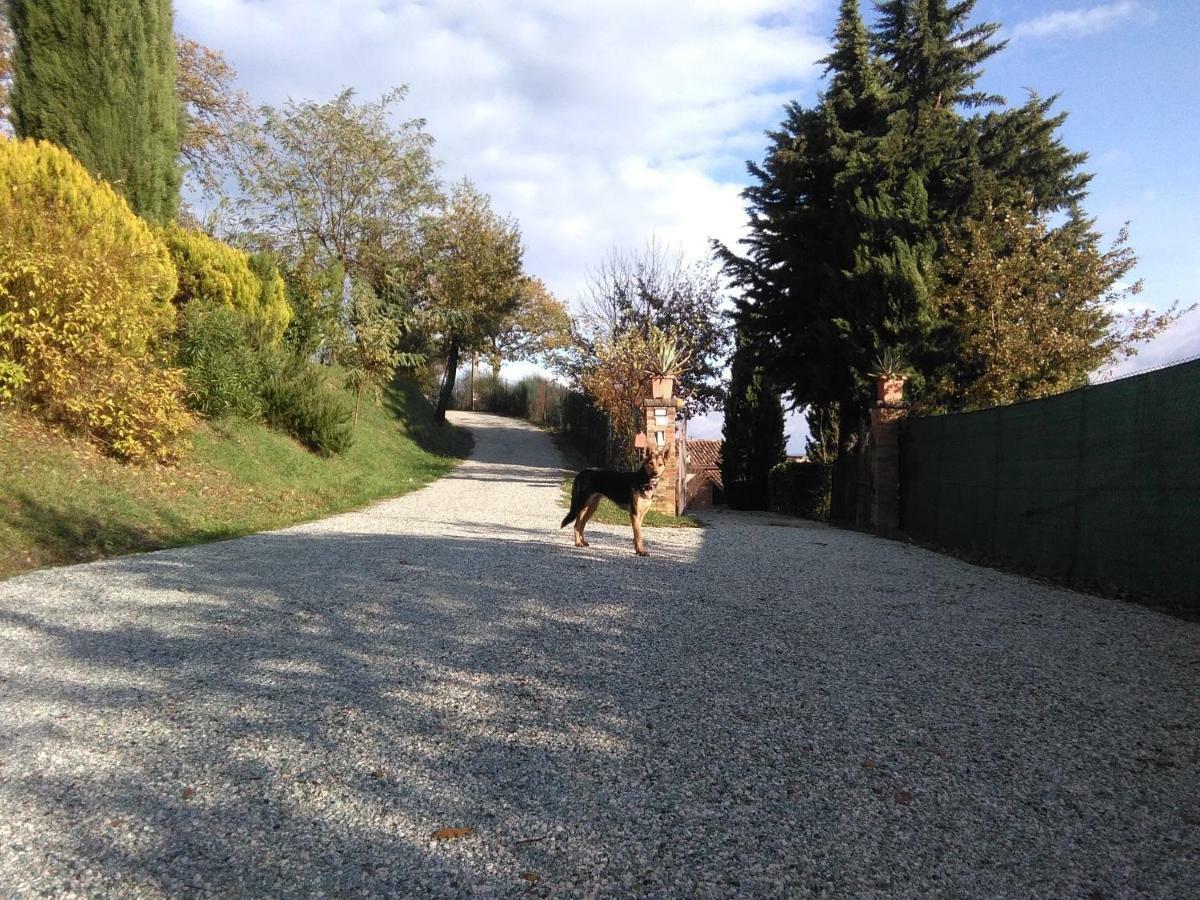 Calmancino Delle Selve Bed & Breakfast Urbino Exterior photo