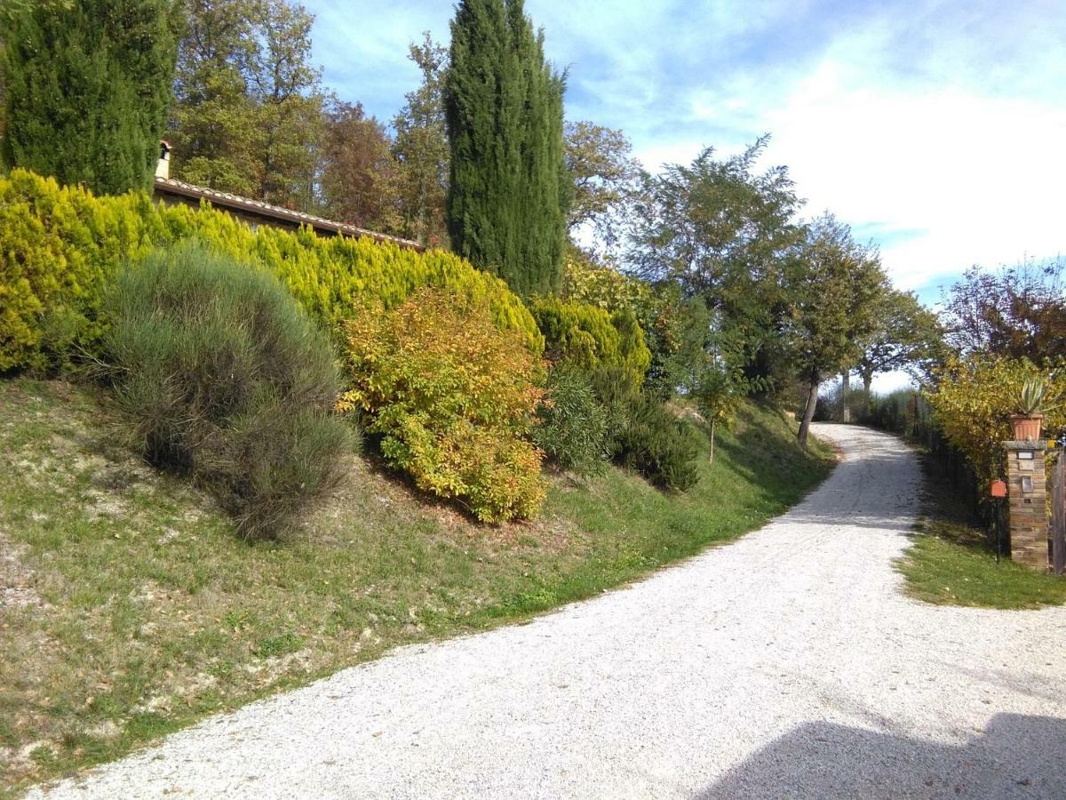 Calmancino Delle Selve Bed & Breakfast Urbino Exterior photo
